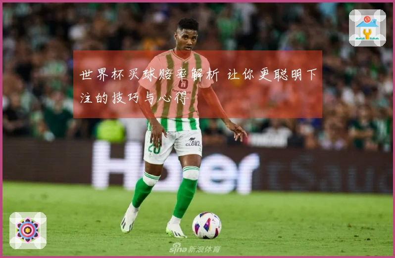 世界杯买球赔率解析 让你更聪明下注的技巧与心得