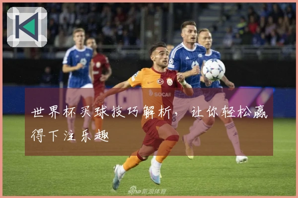 世界杯买球技巧解析，让你轻松赢得下注乐趣