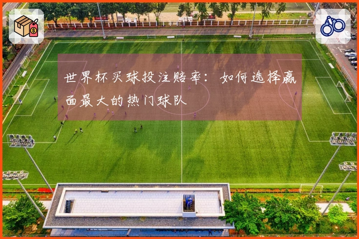 世界杯买球投注赔率：如何选择赢面最大的热门球队