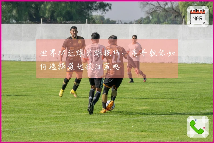 世界杯让球买球技巧，高手教你如何选择最优投注策略