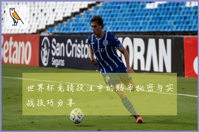 世界杯竞猜投注中的赔率秘密与实战技巧分享