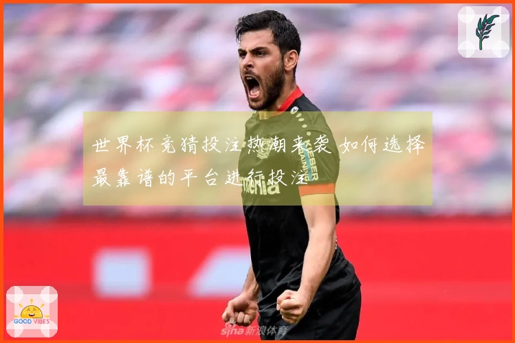 世界杯竞猜投注热潮来袭 如何选择最靠谱的平台进行投注