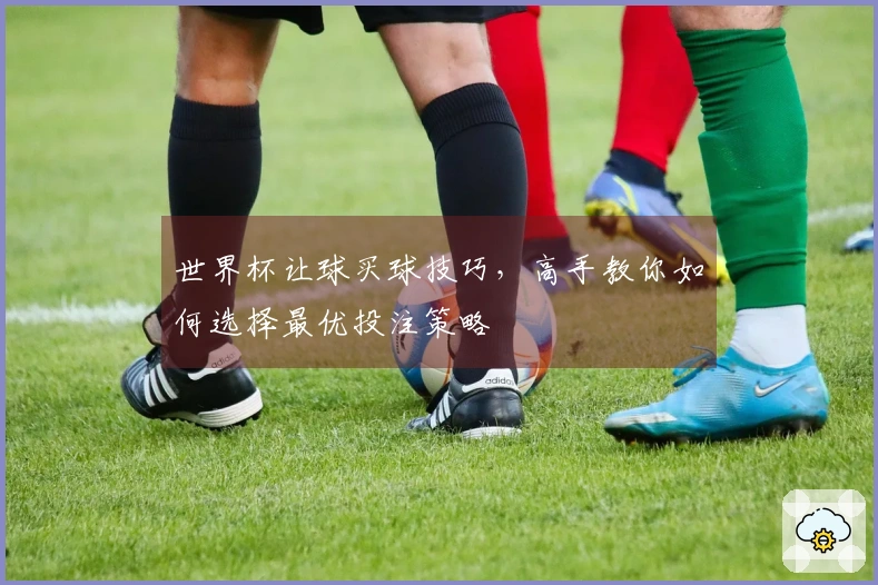 世界杯让球买球技巧，高手教你如何选择最优投注策略